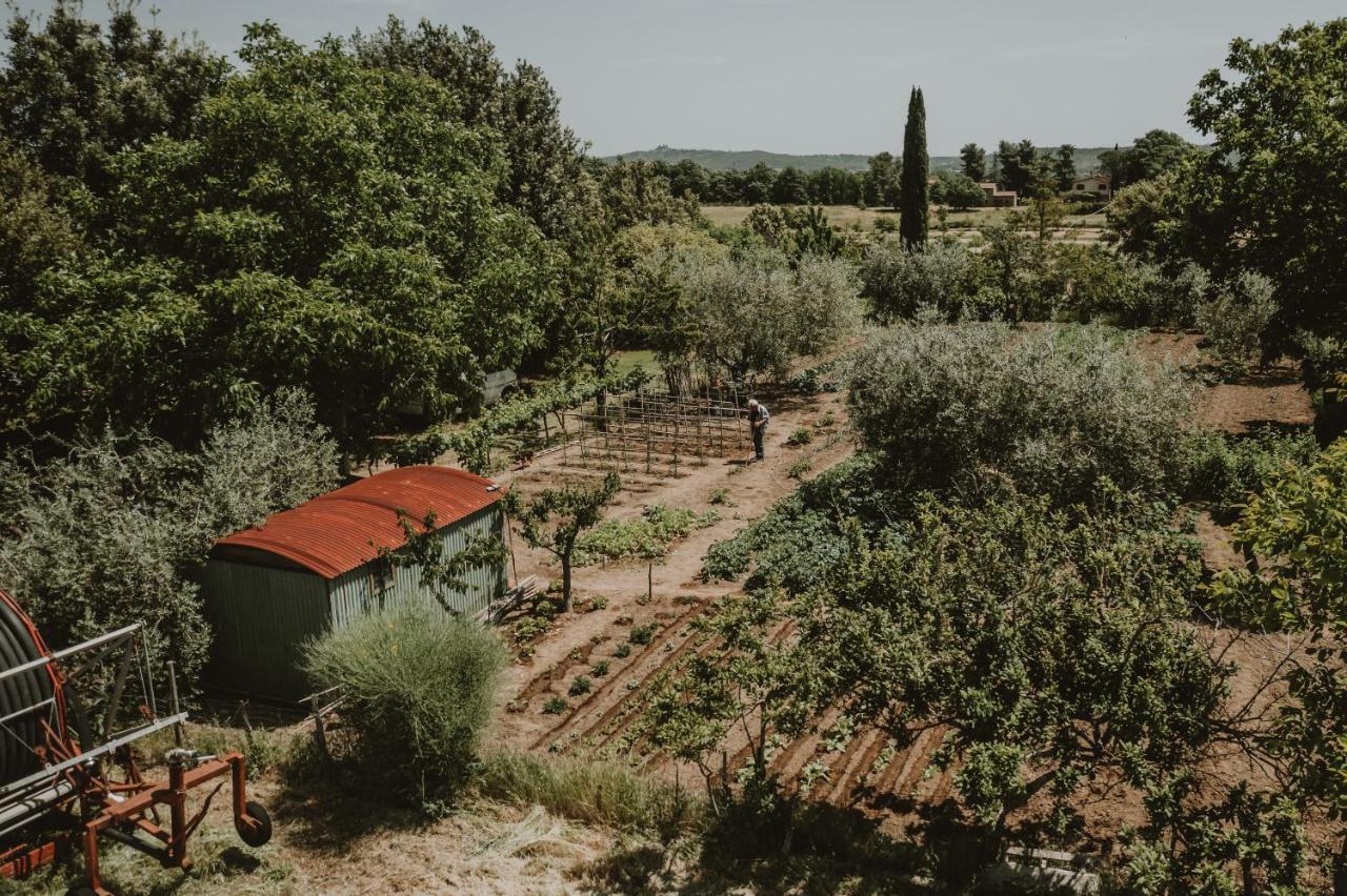 Agriturismo Cerqueto Acquapendente Exterior foto